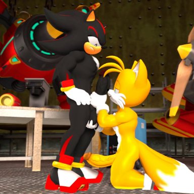 silver tilver, miles prower, shadow the hedgehog, sega, sonic the hedgehog (series), canid, canine, eulipotyphlan, fox, hedgehog, mammal, 2 tails, 5 fingers, anal, anal orgasm