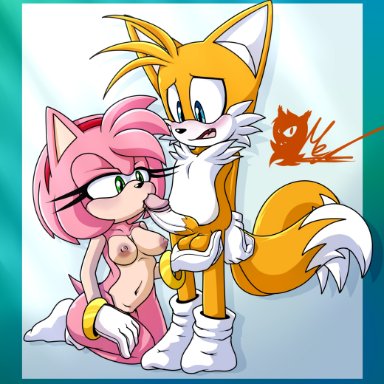 meyk, amy rose, miles prower, sega, sonic the hedgehog (series), canid, canine, eulipotyphlan, fox, hedgehog, mammal, age difference, anthro, balls, bedroom eyes