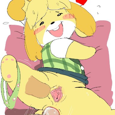 forbiddenchees8, isabelle (animal crossing), animal crossing, nintendo, canid, canine, canis, domestic dog, mammal, shih tzu, toy dog, anal, anal penetration, anthro, anus